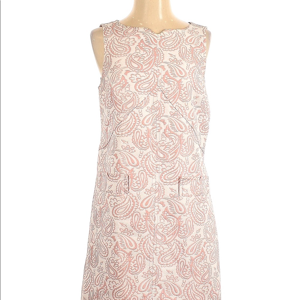 Pink Dress